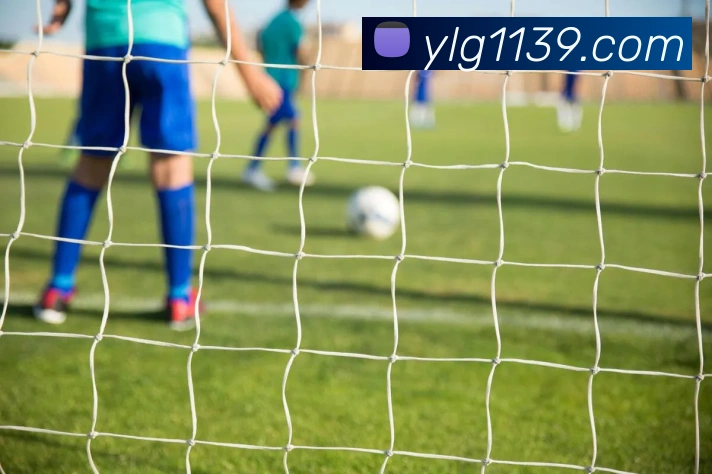 国际认证